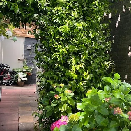 Gastenverblijf Met Een Grote Veranda En Jacuzzi Apartment *