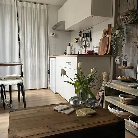 Gastenverblijf Met Een Grote Veranda En Jacuzzi Apartment