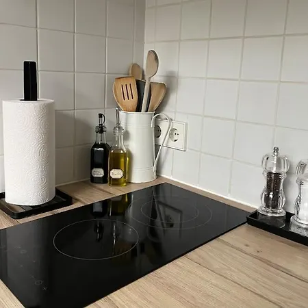 Gastenverblijf Met Een Grote Veranda En Jacuzzi Leidschendam